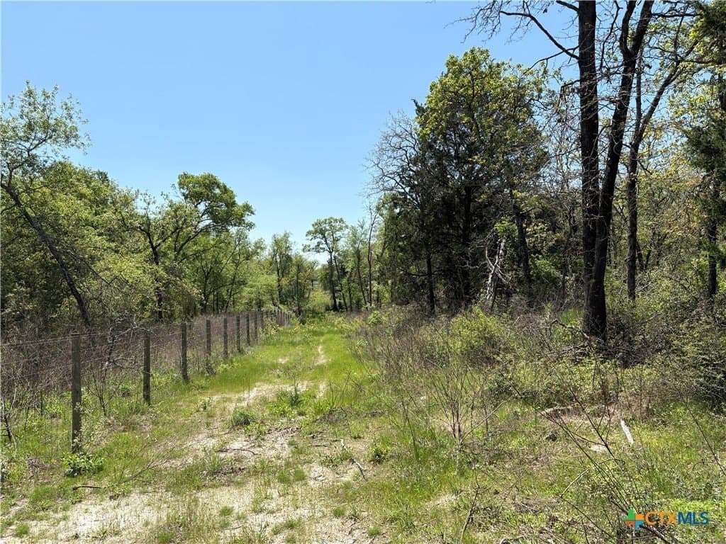 21 acres in Limestone County - photo 6