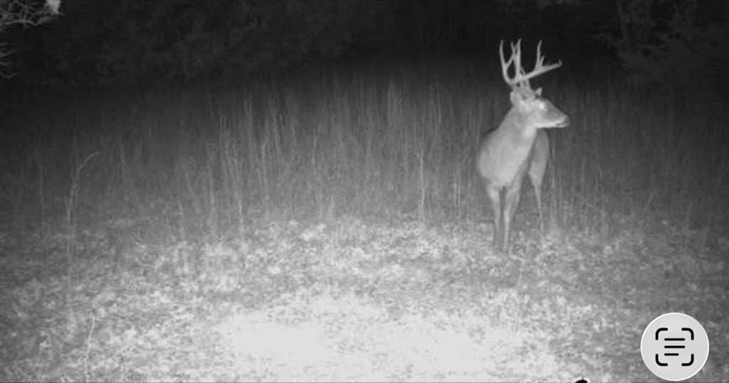 9.81 acres in Parker County - photo 30