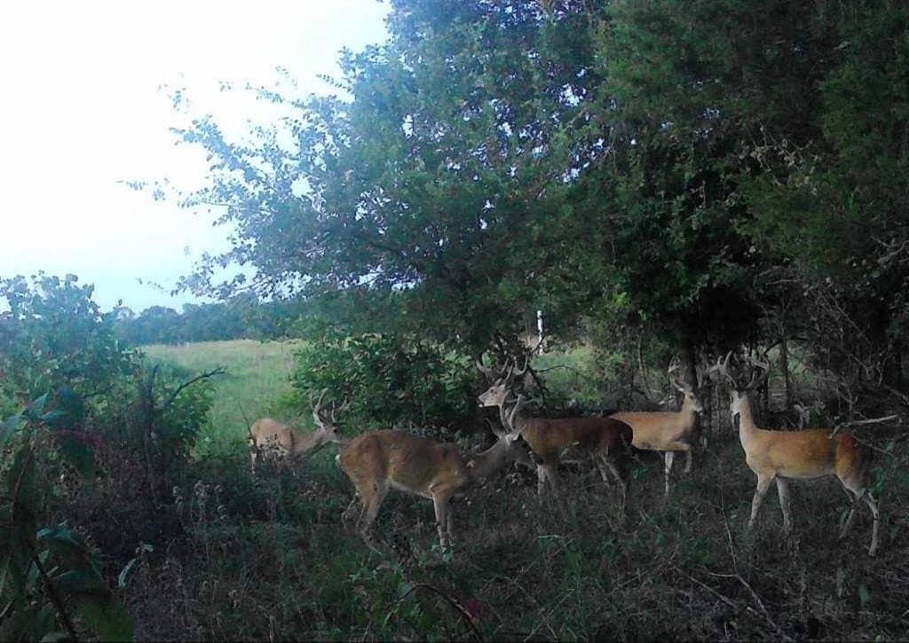 9.81 acres in Parker County - photo 29