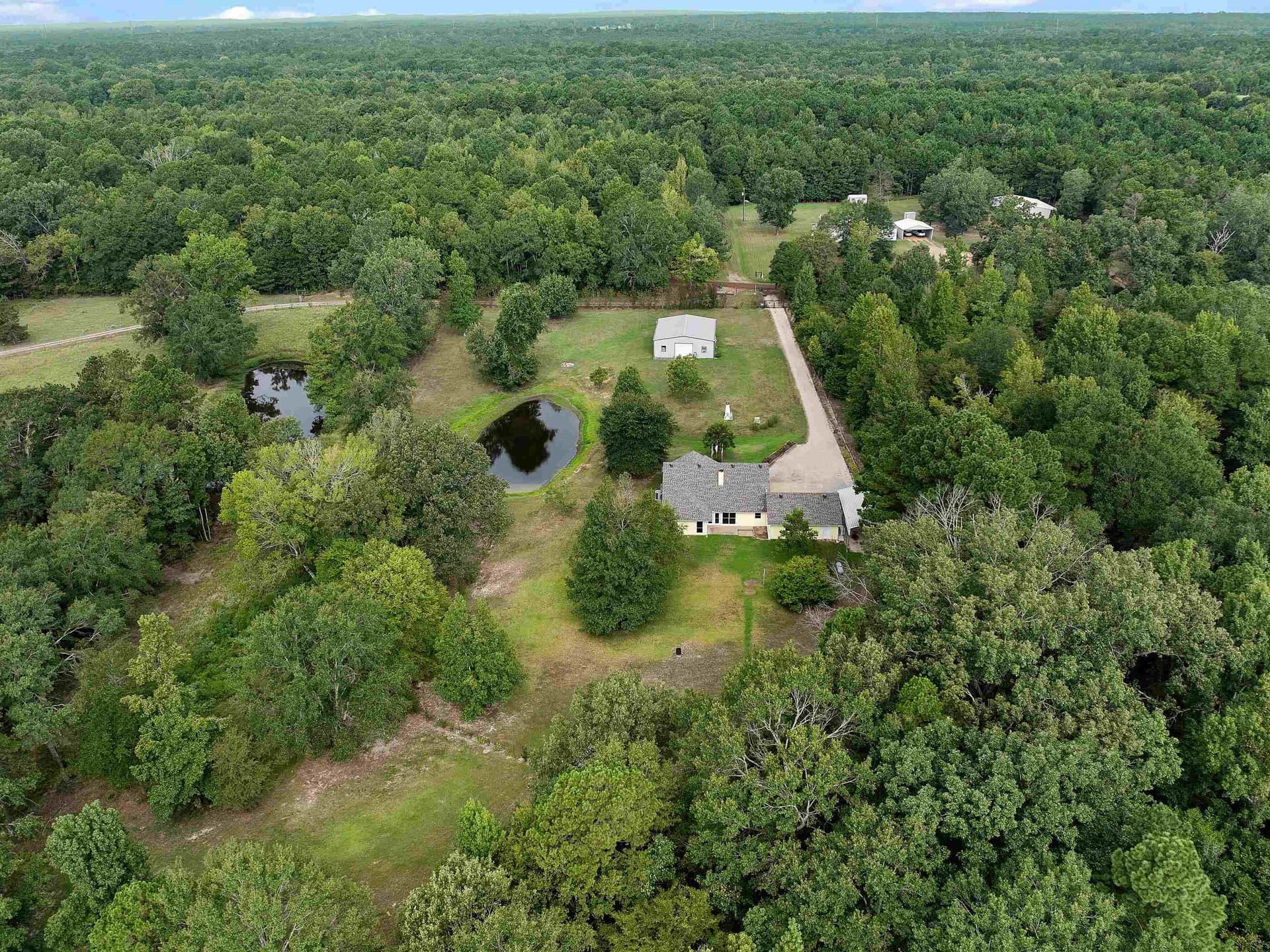10 acres in Panola County - photo 6