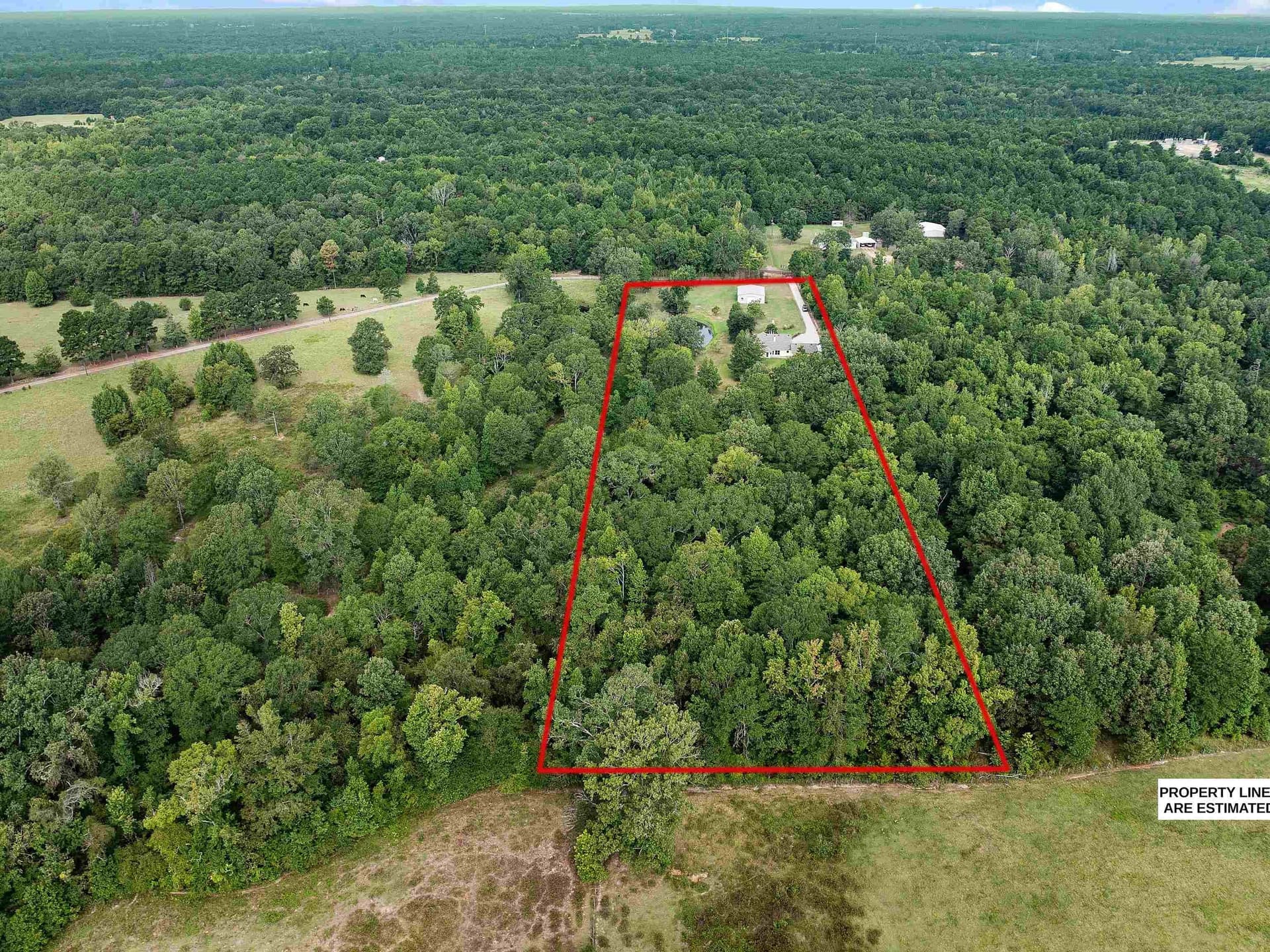10 acres in Panola County - photo 22