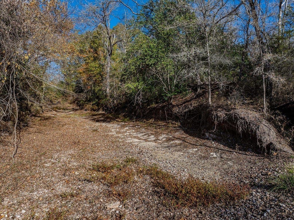 20.56 acres in Fayette County - photo 20