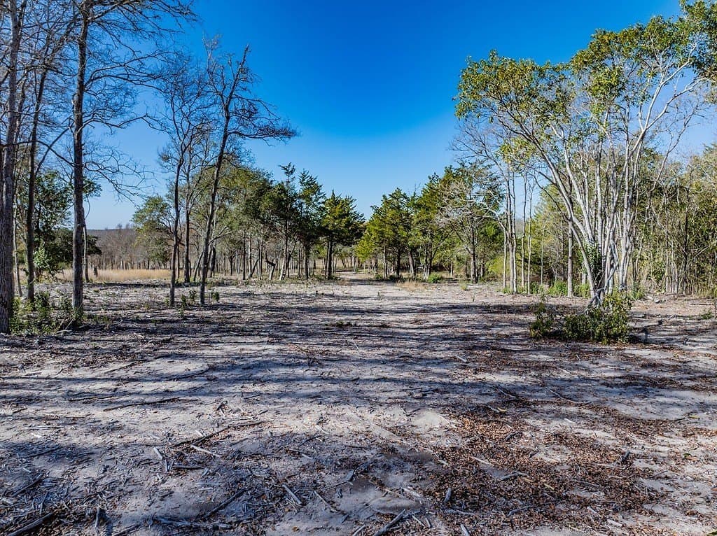 20.56 acres in Fayette County - photo 6