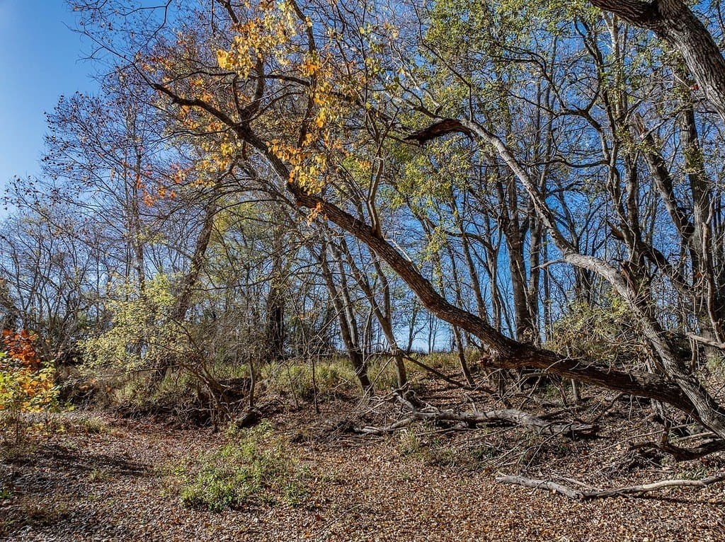 20.56 acres in Fayette County - photo 21