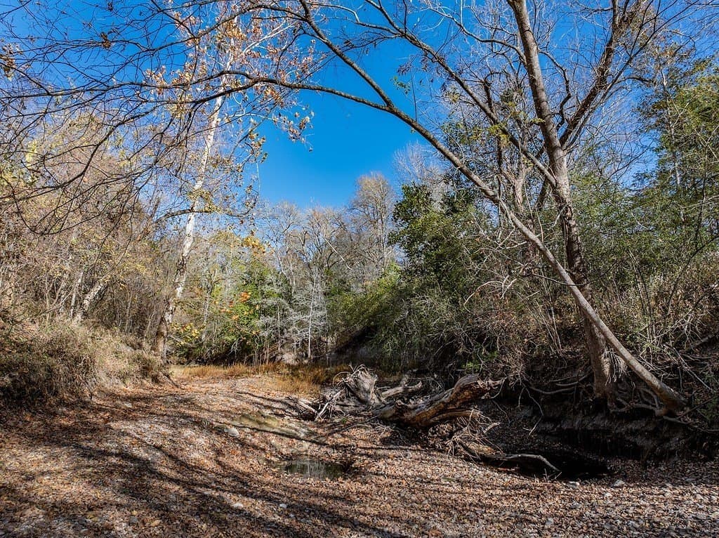 20.56 acres in Fayette County - photo 18