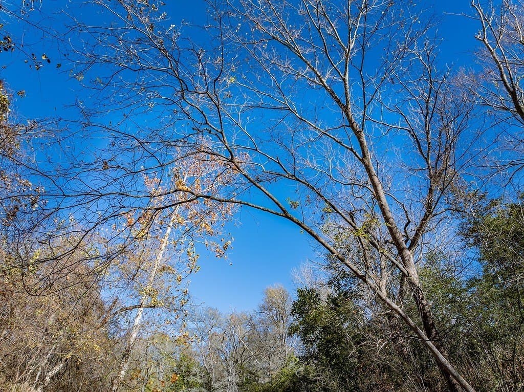 20.56 acres in Fayette County - photo 22