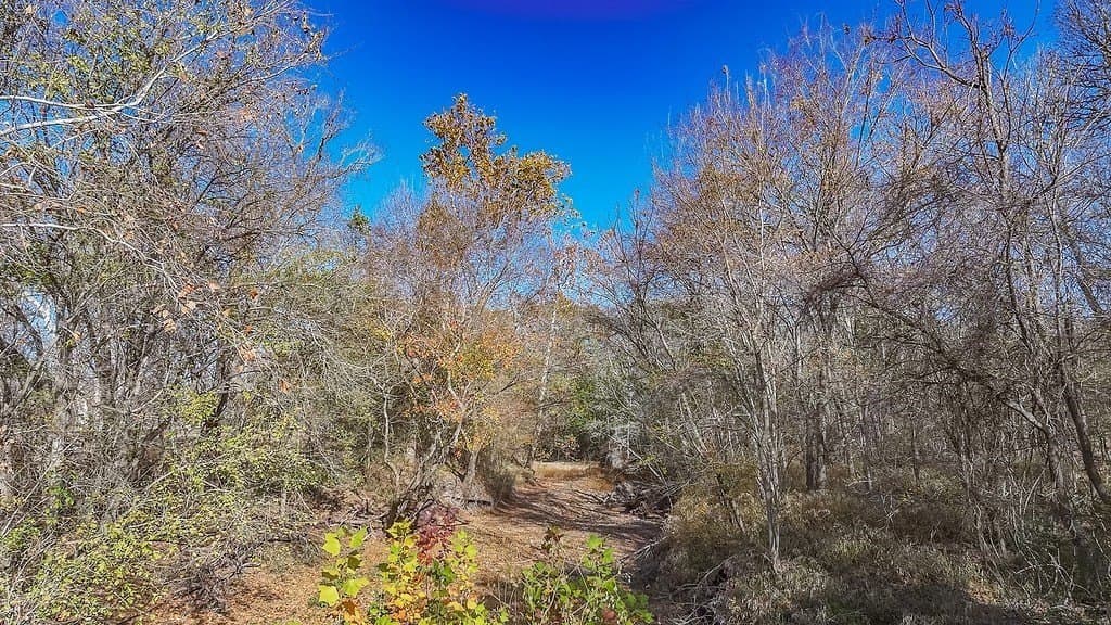 20.56 acres in Fayette County - photo 23