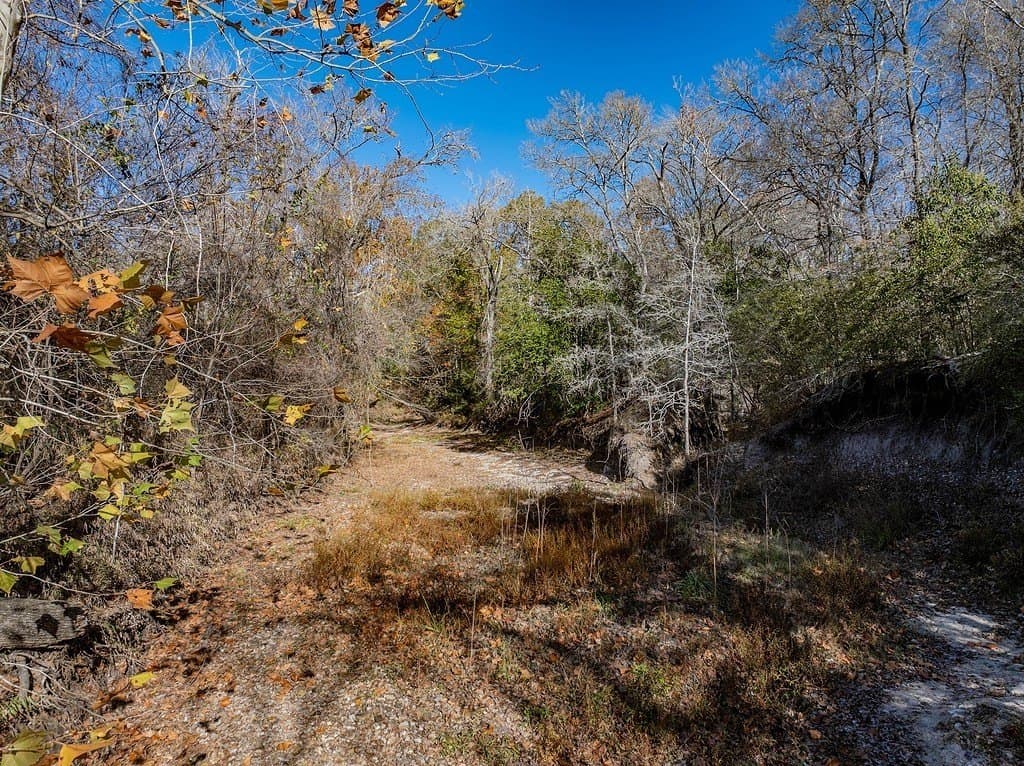 20.56 acres in Fayette County - photo 19