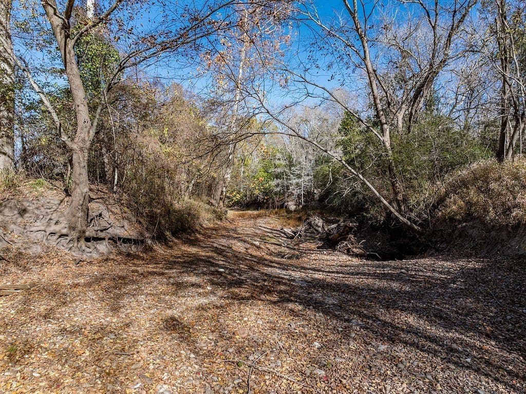 20.56 acres in Fayette County - photo 15