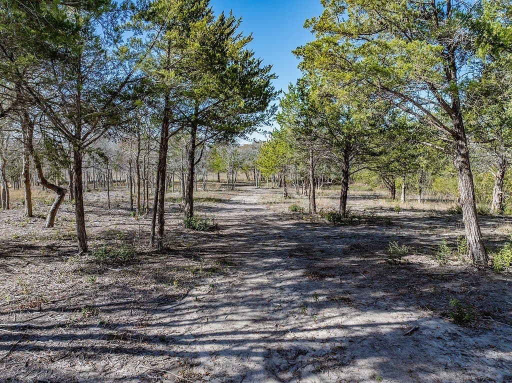 20.56 acres in Fayette County - photo 3