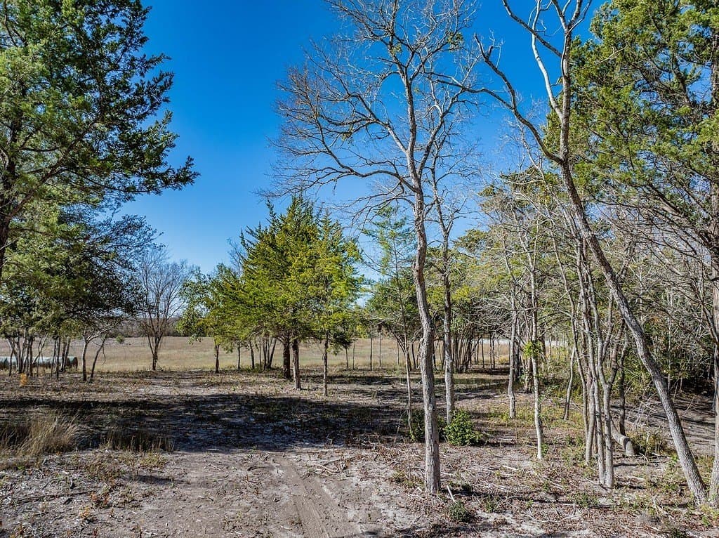 20.56 acres in Fayette County - photo 4