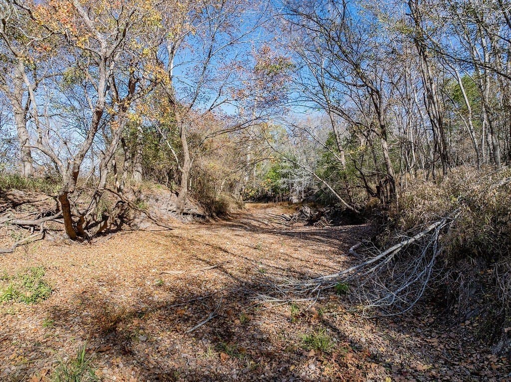20.56 acres in Fayette County - photo 12