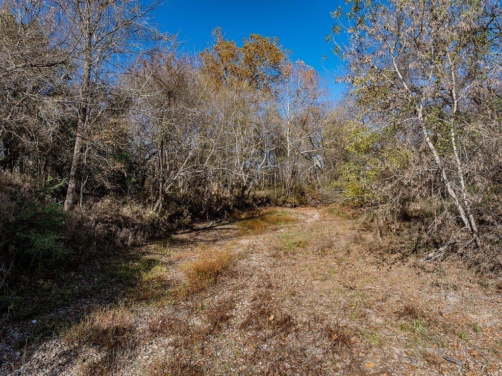 20.56 acres in Fayette County - photo 13