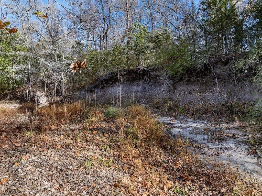 20.56 acres in Fayette County - photo 14