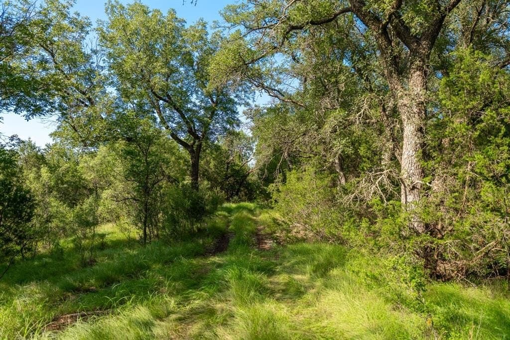 1,475 acres in Coleman County - photo 32