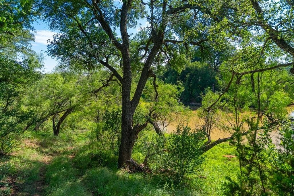 1,475 acres in Coleman County - photo 27