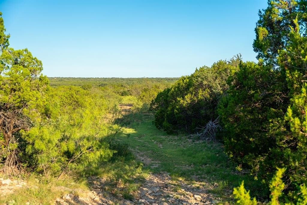 1,475 acres in Coleman County - photo 39