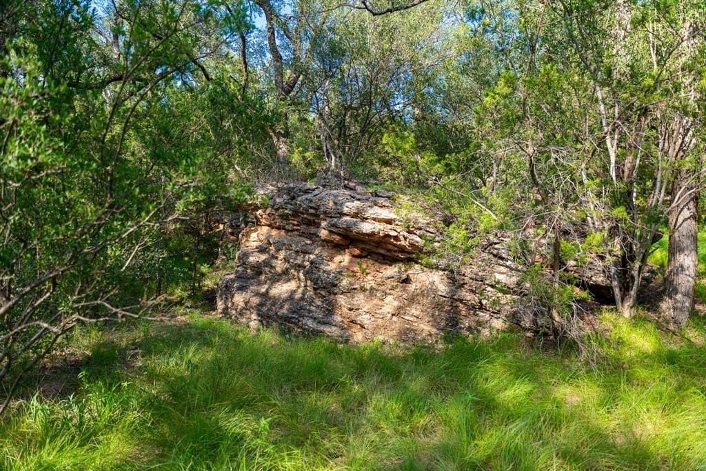 1,475 acres in Coleman County - photo 30