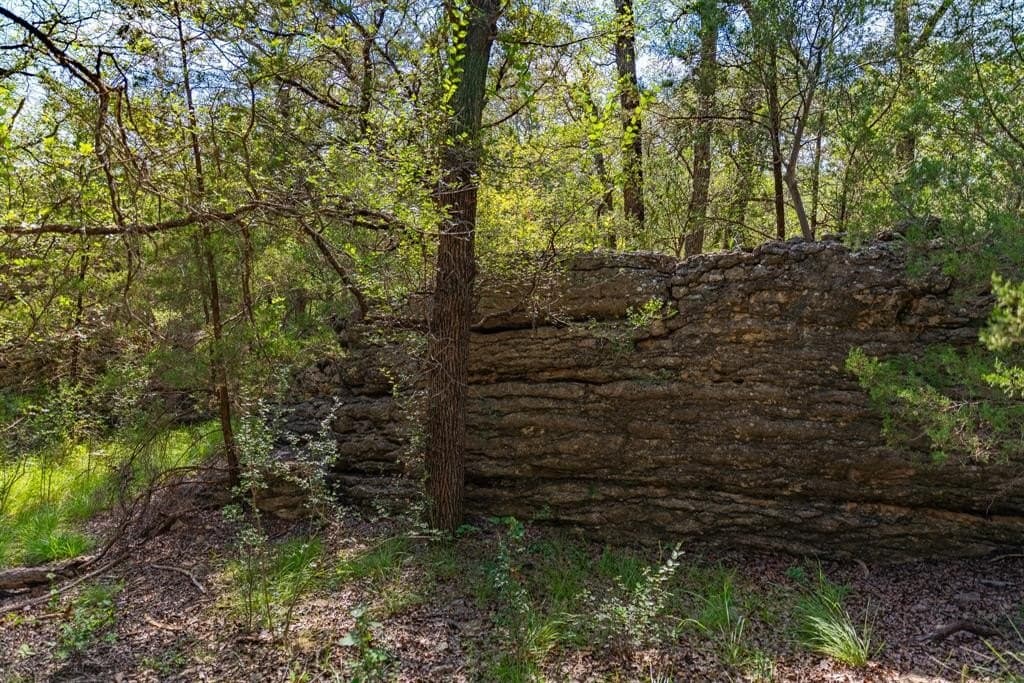 1,475 acres in Coleman County - photo 31