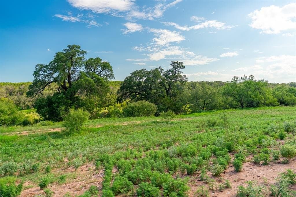 1,475 acres in Coleman County - photo 37