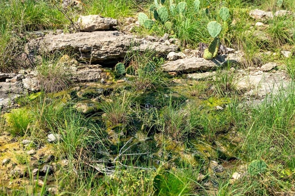 1,475 acres in Coleman County - photo 23