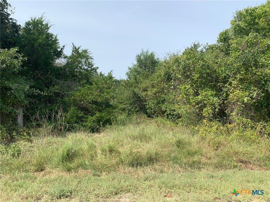 74 acres in Falls County - photo 6