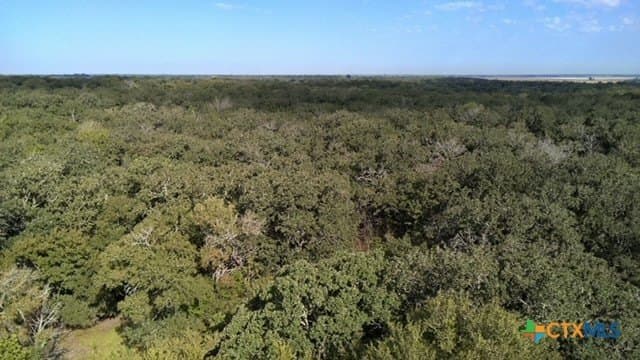 74 acres in Falls County - photo 26