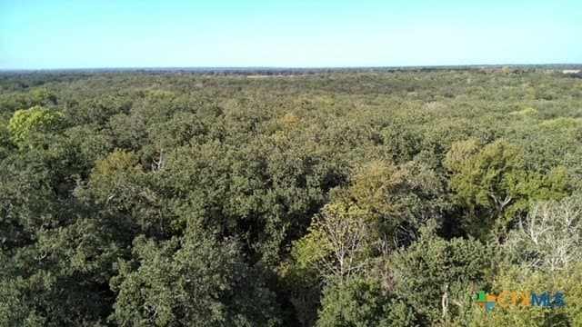 74 acres in Falls County - photo 12
