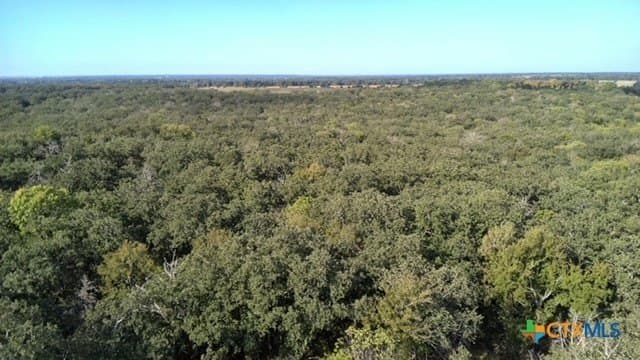74 acres in Falls County - photo 13