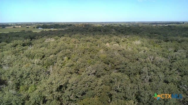 74 acres in Falls County - photo 30