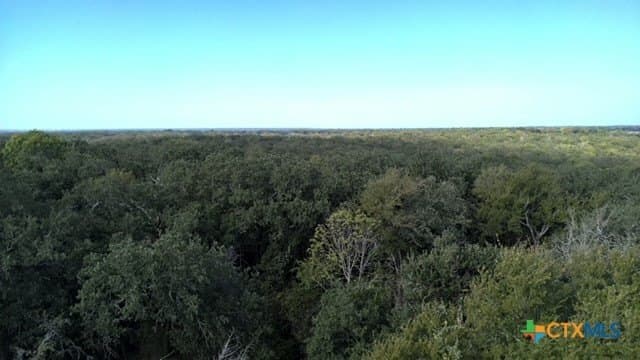 74 acres in Falls County - photo 19