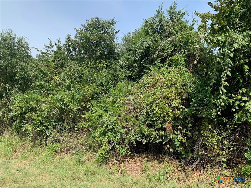 74 acres in Falls County - photo 5