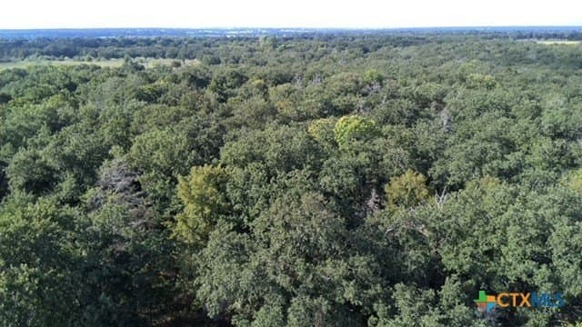 74 acres in Falls County - photo 15
