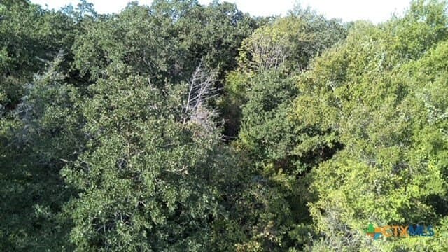 74 acres in Falls County - photo 11
