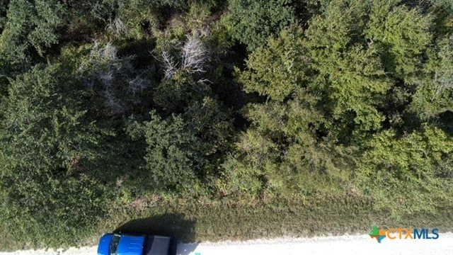 74 acres in Falls County - photo 17