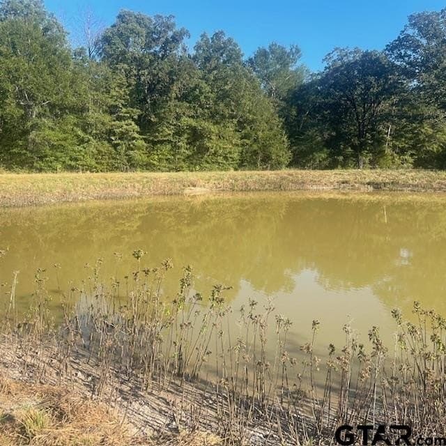 110 acres in Wood County - photo 33