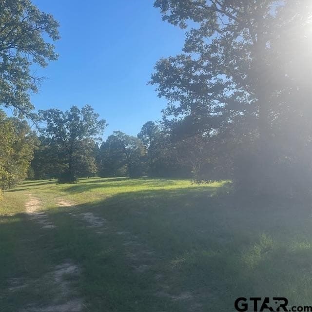 110 acres in Wood County - photo 27