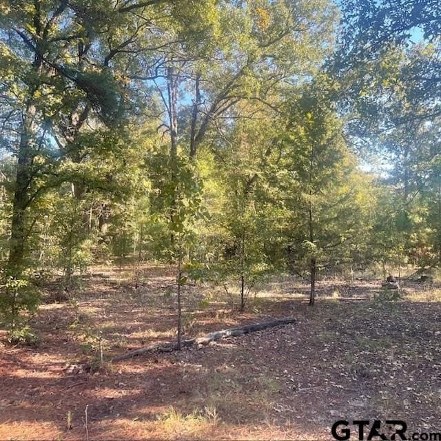 110 acres in Wood County - photo 28