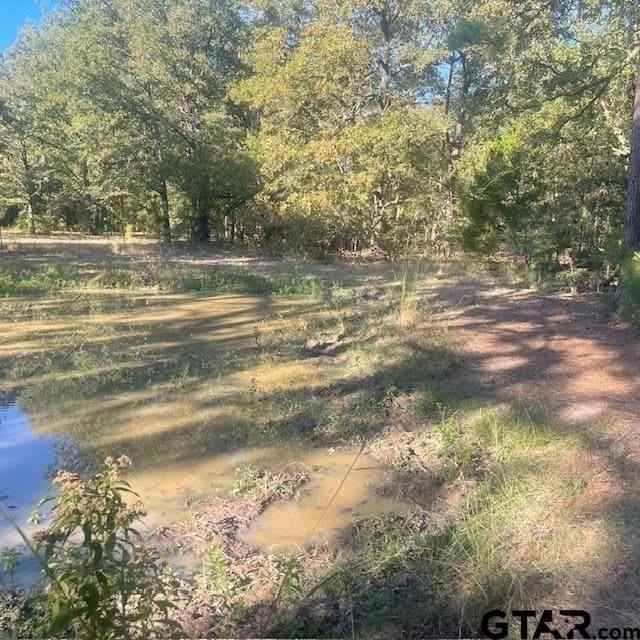 110 acres in Wood County - photo 29