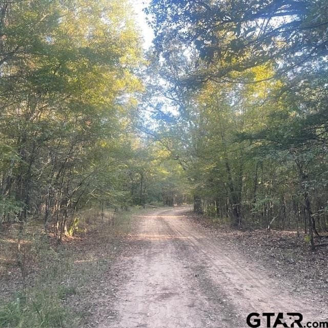 110 acres in Wood County - photo 20