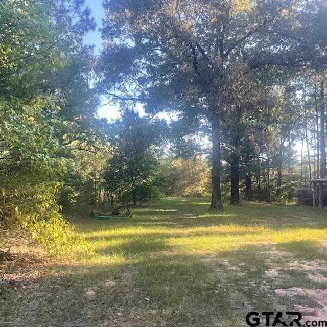 110 acres in Wood County - photo 15