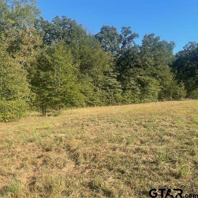 110 acres in Wood County - photo 31