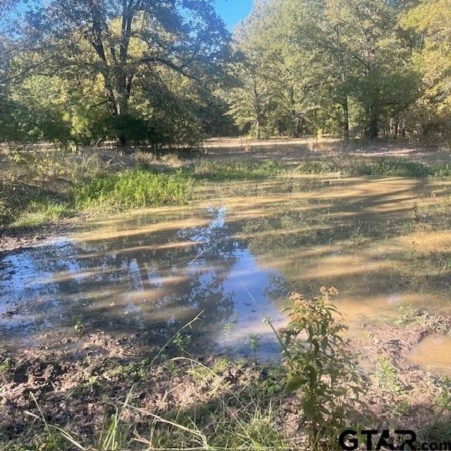 110 acres in Wood County - photo 30