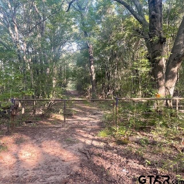 110 acres in Wood County - photo 46