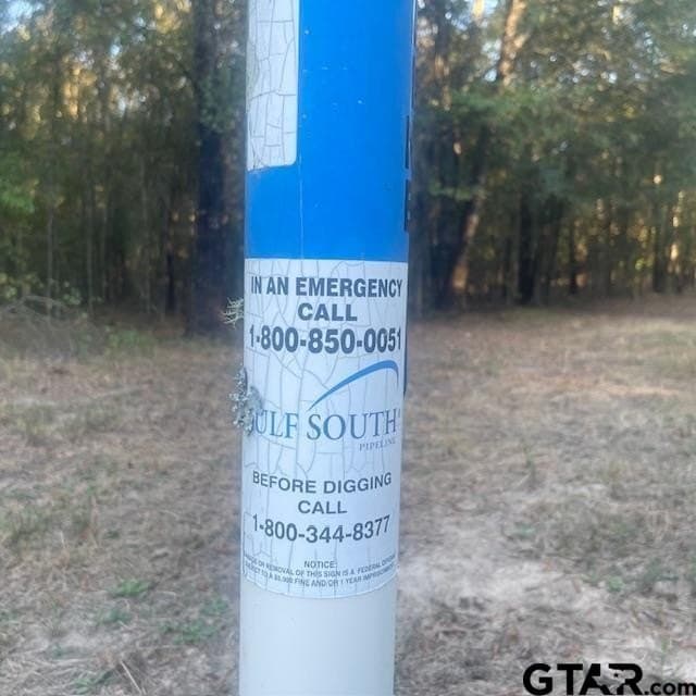 110 acres in Wood County - photo 48