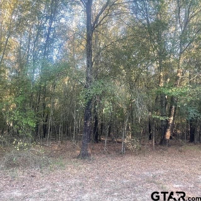 110 acres in Wood County - photo 17