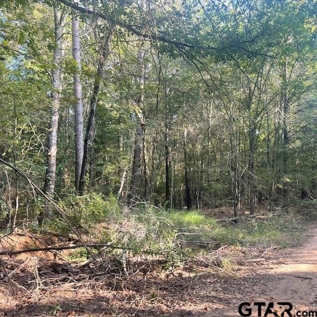 110 acres in Wood County - photo 36