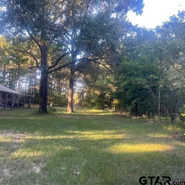 110 acres in Wood County - photo 3
