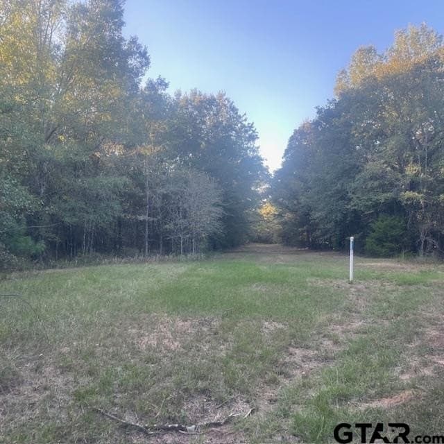 110 acres in Wood County - photo 24