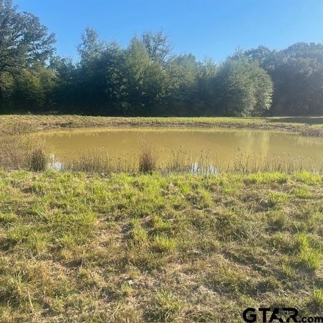 110 acres in Wood County - photo 32